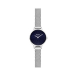 Skagen Anita Micro Dames Horloge 22 mm  Zilverkleurig