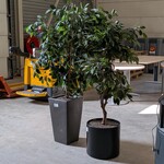 2x Kunstplant in pot