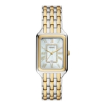 Fossil Raquel ES5304 Dames Horloge 26 mm Goudkleurig