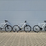 3x Mountainbike, Wit