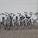 8x Damesfiets, Wit