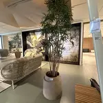 Kunstplant in pot, Colours&Green, False Aralia Tree