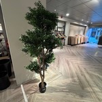 Kunstplant, Colours&Green, Black Willow tree