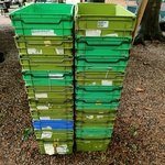 Ca. 21x Stapelkratten, groen