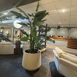 Pot met kunstplant Colours&Green, Strelizia