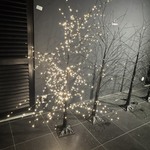 5x LED kerstboom, zwart