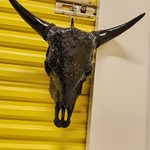 Koeienschedel decoratief, Glaswerk, Zwart