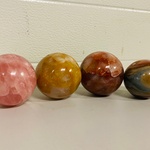 4x Bollen diverse soorten
