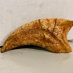 Spinosaurus klauw