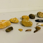 Ca. 12x Set diverse fossielen