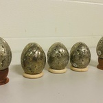 5x Pyriet eieren