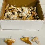 Ca. 50x Haaientand hangers