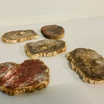 5x Versteend hout plakken