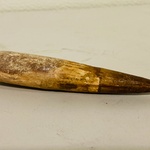 Spinosaurus tand (12 cm!)