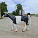 Decoratie koe