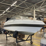 Motorboot, Four Winns, 195 Sundowner