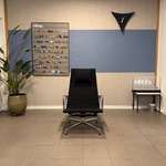 Hopsak chrome fauteuil Vitra, EA124, zwart