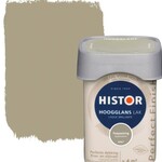4x Lak hoogglans Histor, perfect finish, toepassing, 250 ml