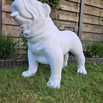 Bulldog, Polyester, Decoratief