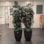2x Kunstplant in pot