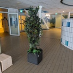 Kunstplant in pot