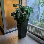 Kunstplant in pot