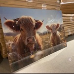 Schilderij gehard glas