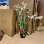 Kunstplant