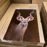 Schilderij gehard glas