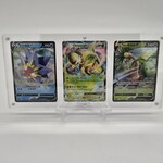 Pokémon kaarten in acryl display met standaard (inclusief 3 kaarten)
