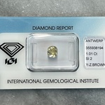 Diamant – 1.01 carat natuurlijke diamant (gecertificeerd)