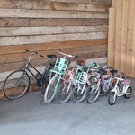 6x Dames, kinder – en loopfiets