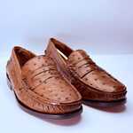 Cavalli Struisvogel leren schoenen – Maat 41