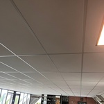 Systeemplafond inclusief 2 LED opbouwlampen, wit, 2020