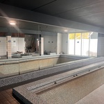 Spiegelwand, platen van 100 cm, spiegel