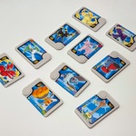 Pokemon Friends Japan – Nintendo game cards