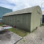 Romneyloods, Groen