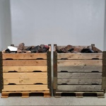 Partij diverse schoenen