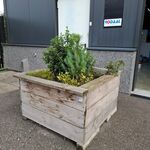 2x Plantenbak met diverse planten