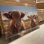 Schilderij gehard glas Koeien