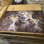 Schilderij gehard glas Leeuw met welpjes