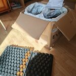 Consumptie munten, zwart goud