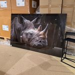 Schilderij gehard glas Neushoorn, Homebound
