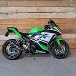 Motor, Kawasaki, Ninja 300 Anniversary Edition, 2015