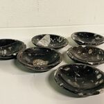 6x Orthoceras schalen