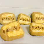 5x Mosasaurus fossielen