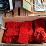 Ca. 28x Lashandschoen, maat 10,  links Bull-Welde