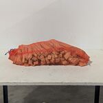 Pallet met aanmaakhout