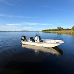 Boot met trailer, Boston Whaler, Montauk 17 Mercury 115 pk, 2017