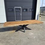 Boomstamtafel | Suar